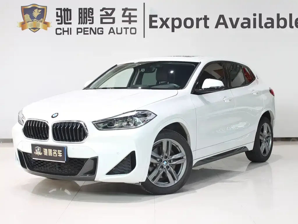 BMW X2 2021 из CN, фото 1