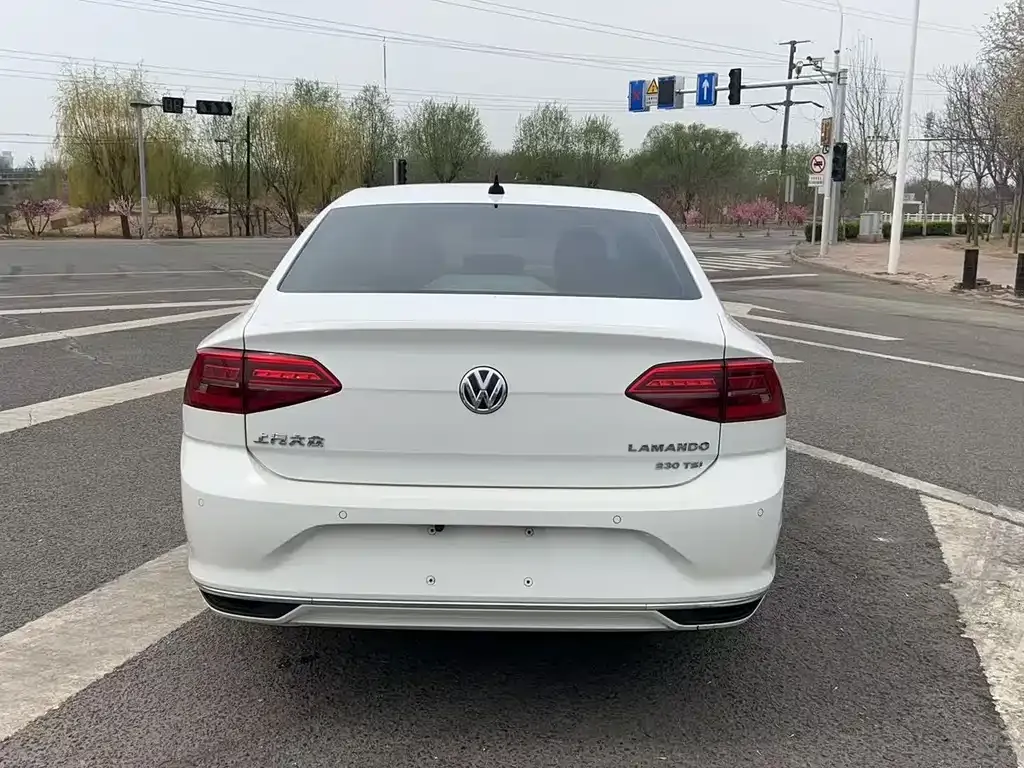 Volkswagen Lamando 2021 из CN, фото 10