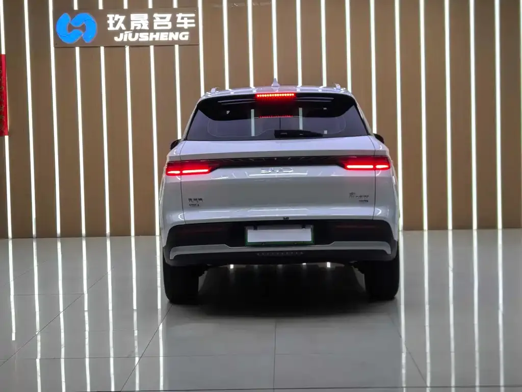 BYD Pro New Energy — фото 10