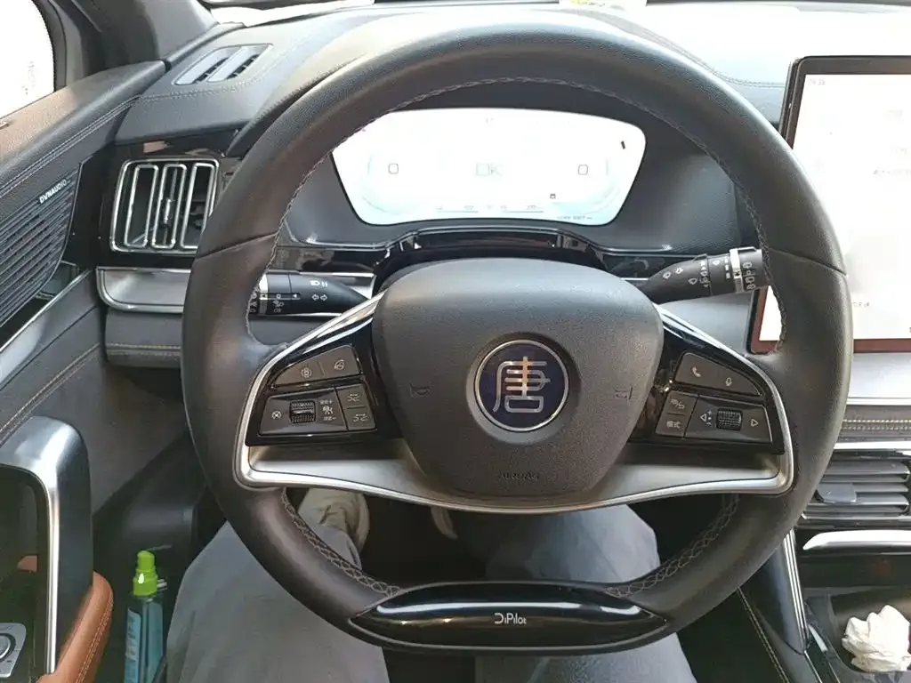 BYD Tang New Energy 2023 из CN, фото 7