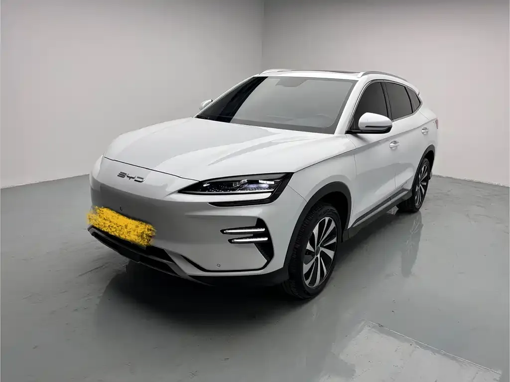 BYD PLUS New Energy 2024 из CN, фото 1
