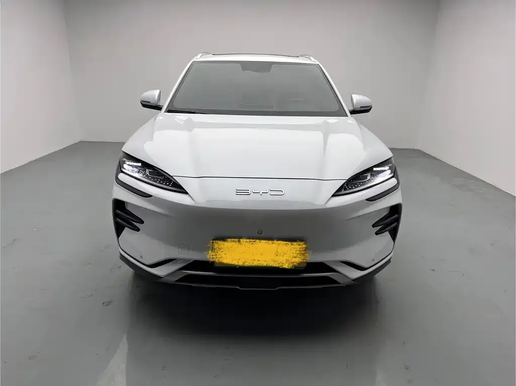 BYD PLUS New Energy 2024 из CN, фото 2