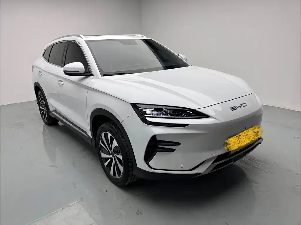 BYD PLUS New Energy 2024 из CN, фото 9