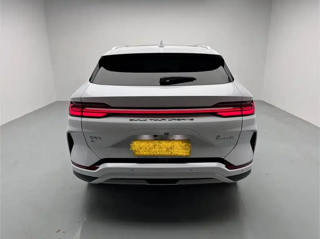 BYD PLUS New Energy 2024 из CN, фото 8