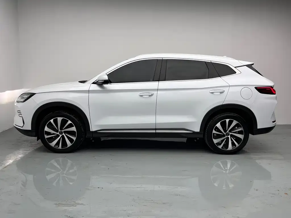 BYD PLUS New Energy 2024 из CN, фото 6