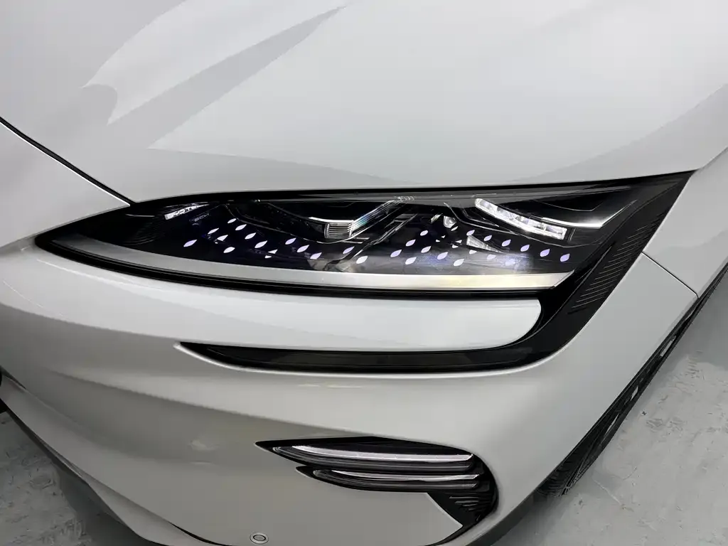 BYD PLUS New Energy 2024 из CN, фото 4