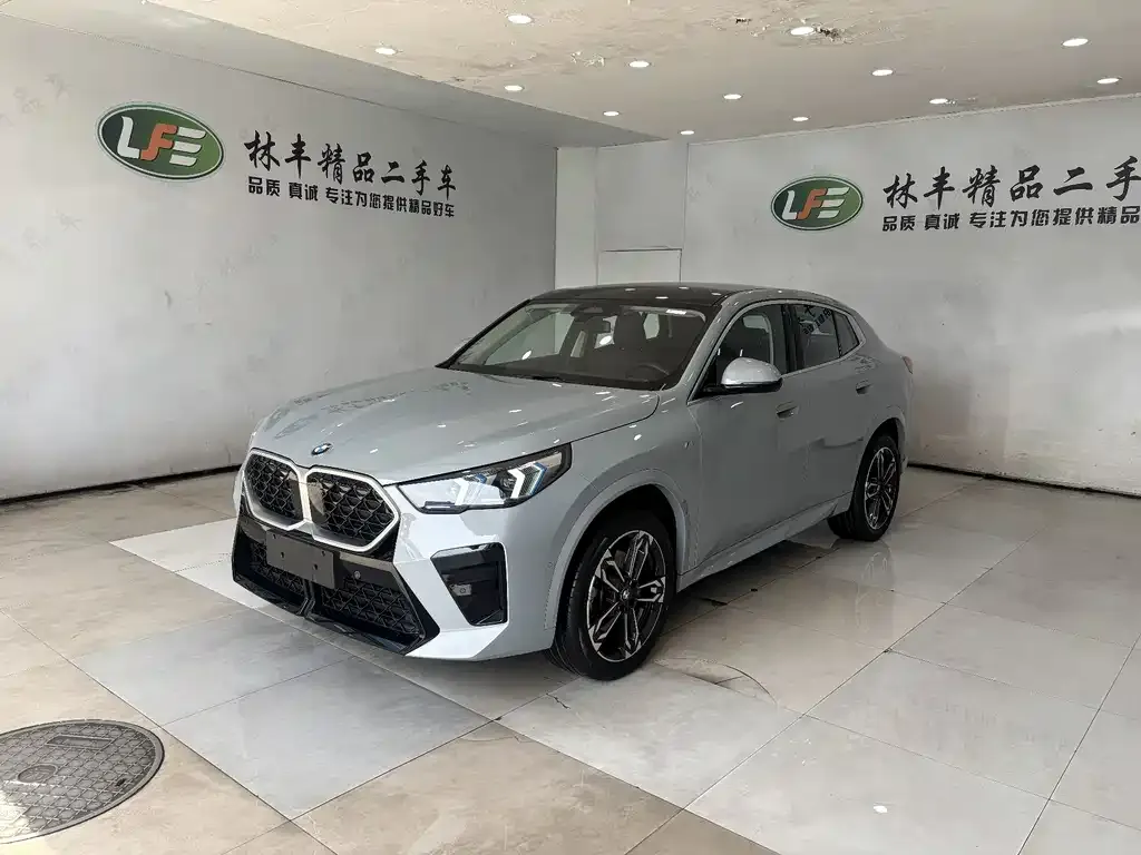 BMW X2 (Import)