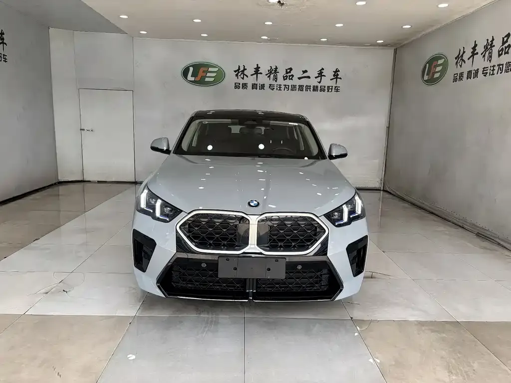 BMW X2 (Import) 2025 из CN, фото 9