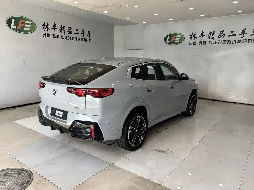 BMW X2 (Import) 2025 из CN, фото 3