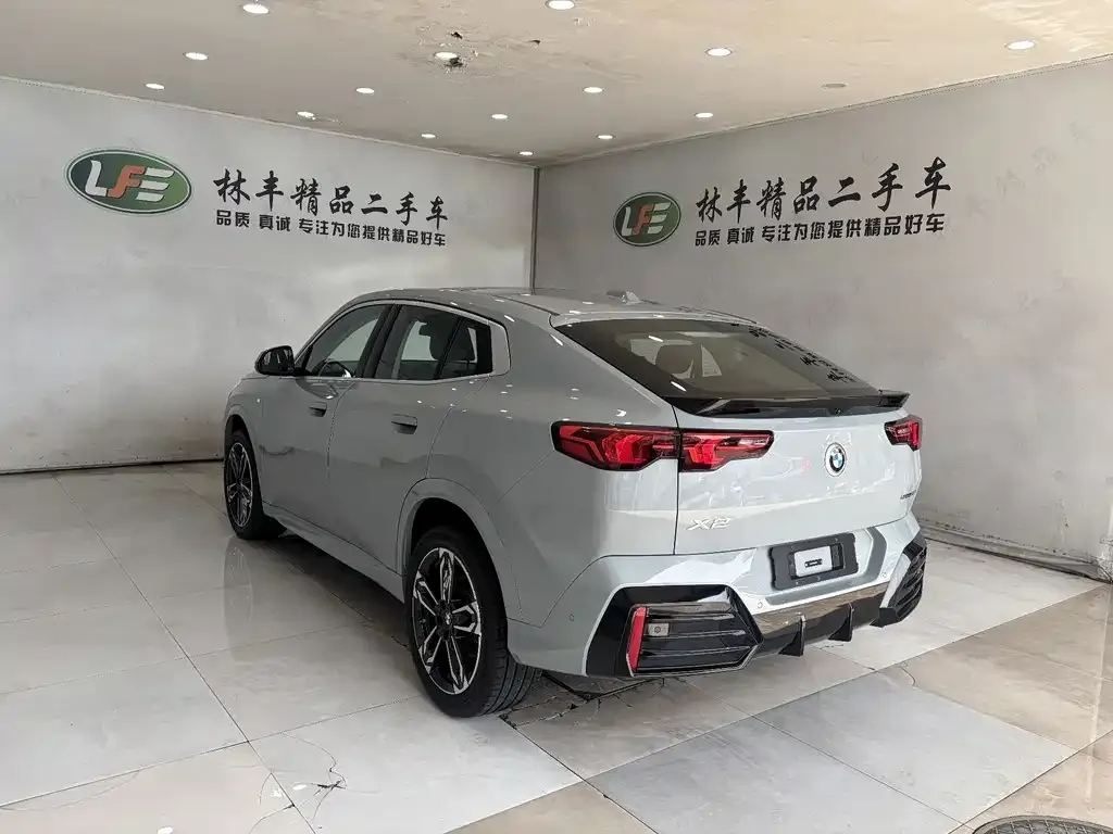 BMW X2 (Import) 2025 из CN, фото 8