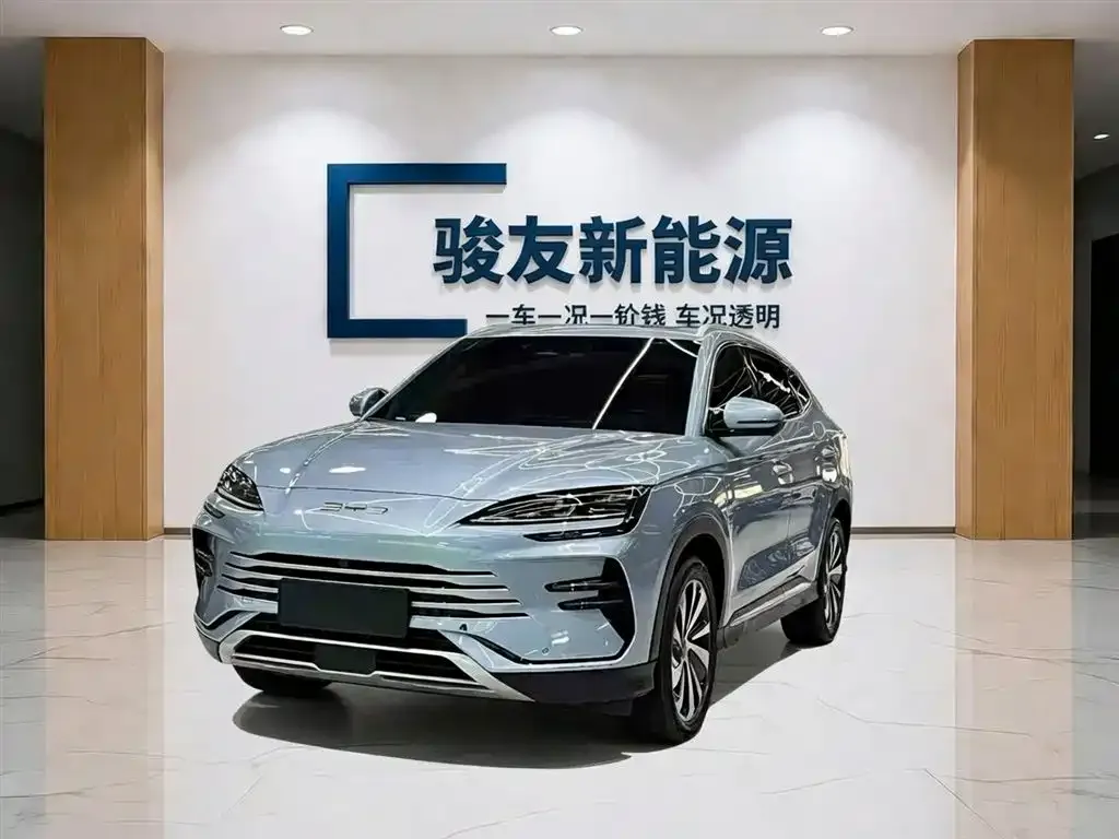 BYD PLUS New Energy — фото 1