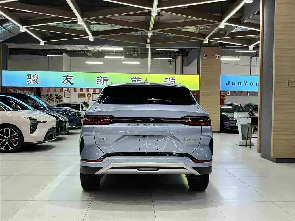 BYD PLUS New Energy — фото 7