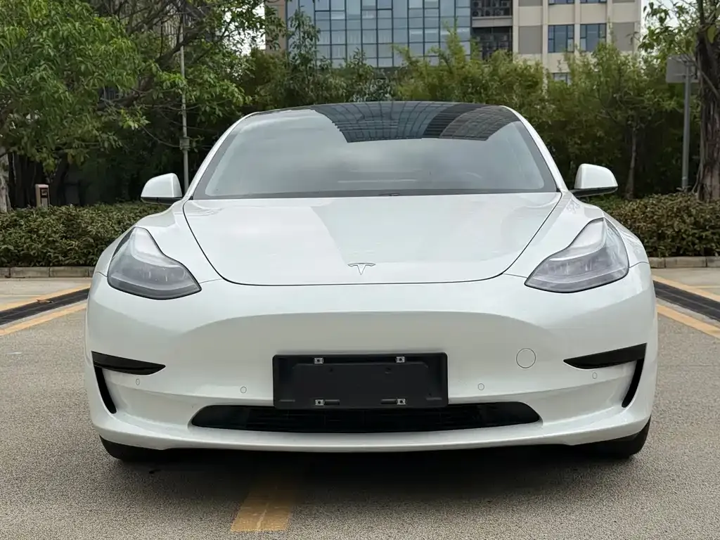 Tesla Model 3 — фото 2