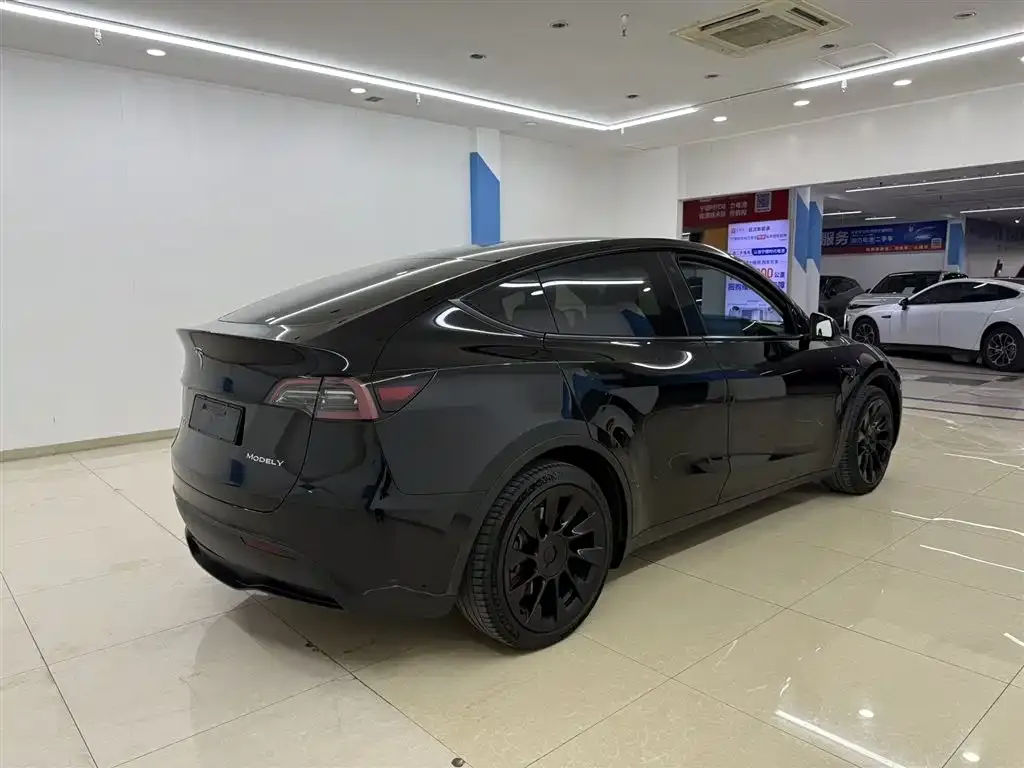 Tesla Model Y — фото 9