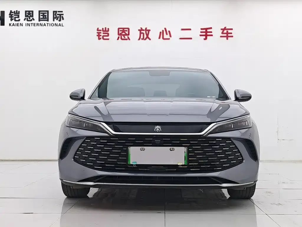 BYD Qin L 2024 из CN, фото 6