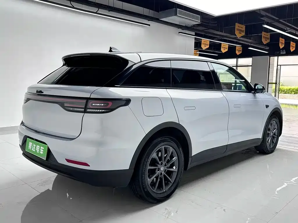 Leapmotor C11 2023 из CN, фото 6