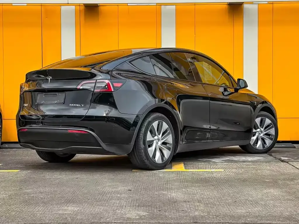 Tesla Model Y — фото 3