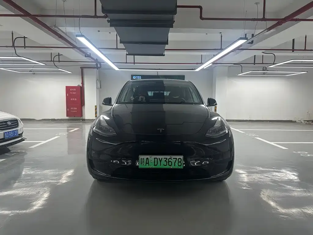 Tesla Model Y — фото 3