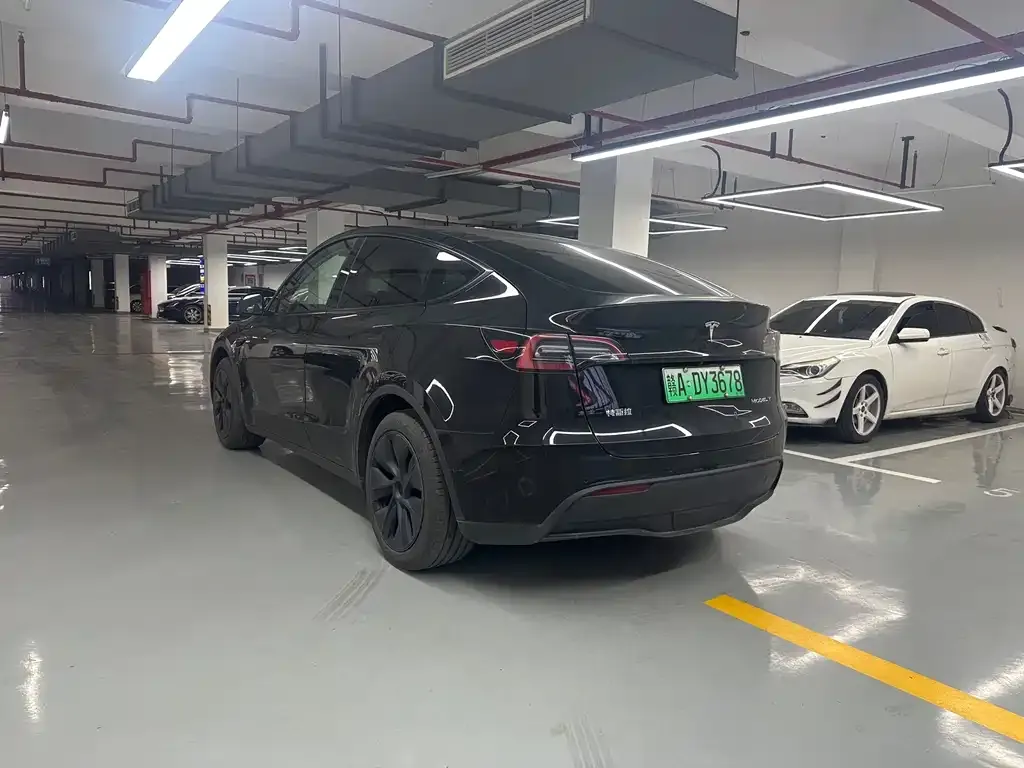 Tesla Model Y — фото 10
