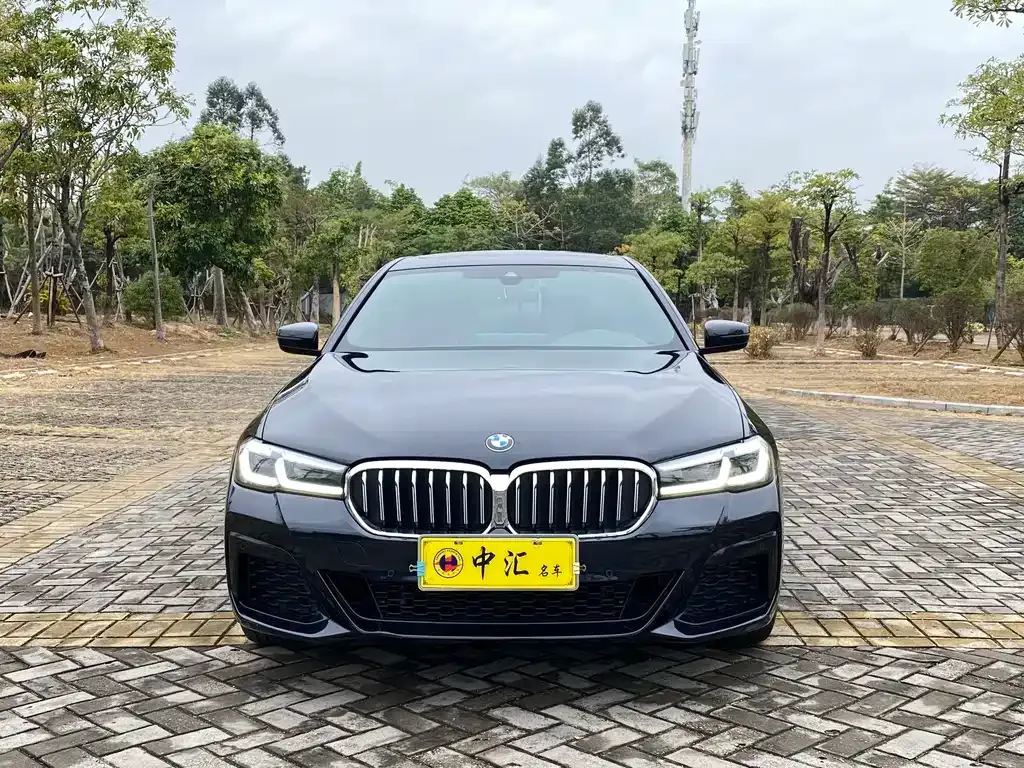 BMW 5 Series 2024 из CN, фото 7