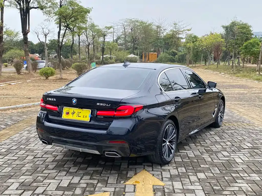 BMW 5 Series 2024 из CN, фото 9