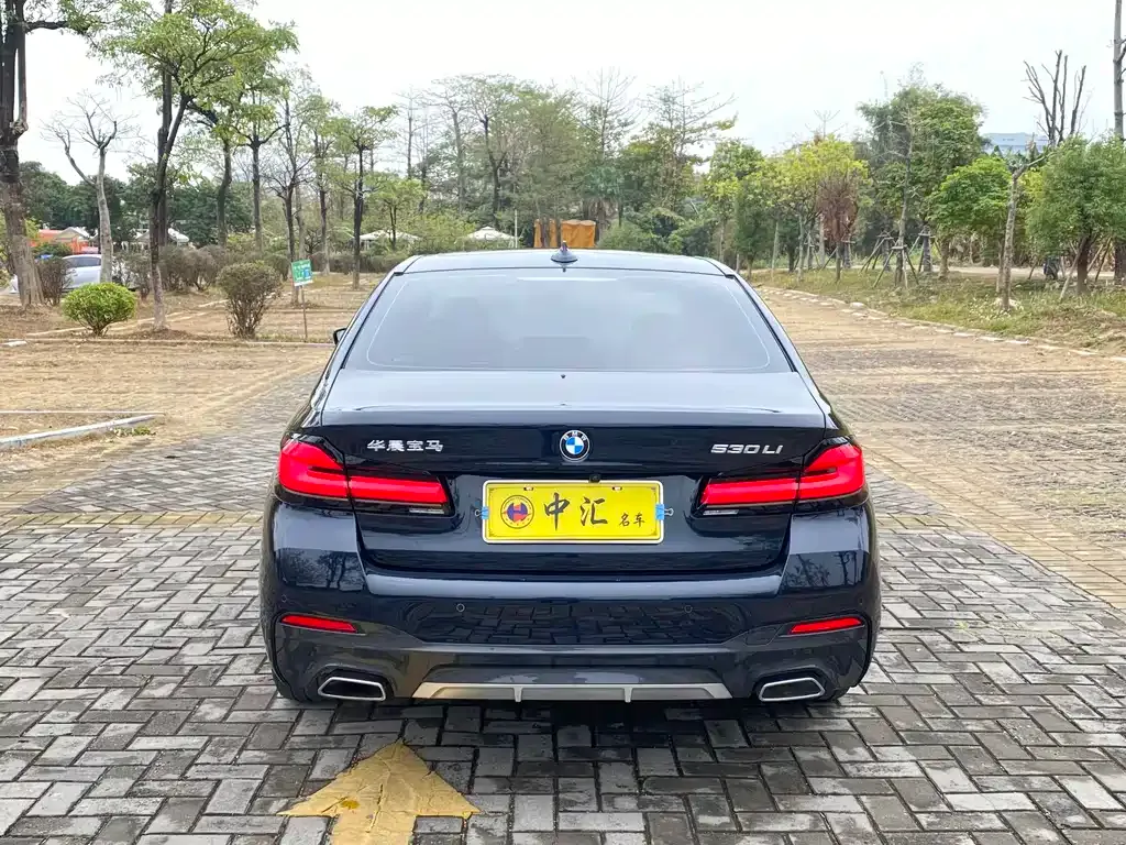 BMW 5 Series 2024 из CN, фото 6