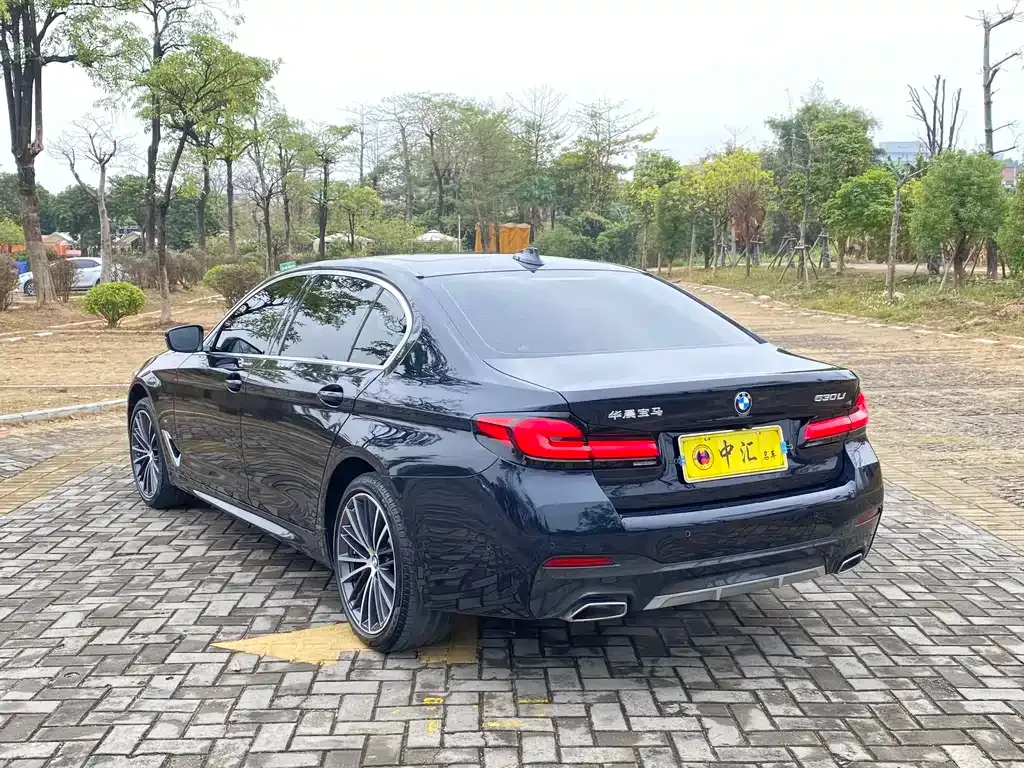 BMW 5 Series 2024 из CN, фото 10