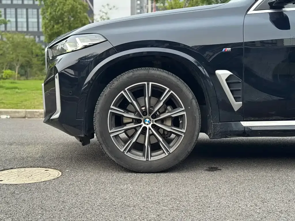 BMW X5 — фото 8