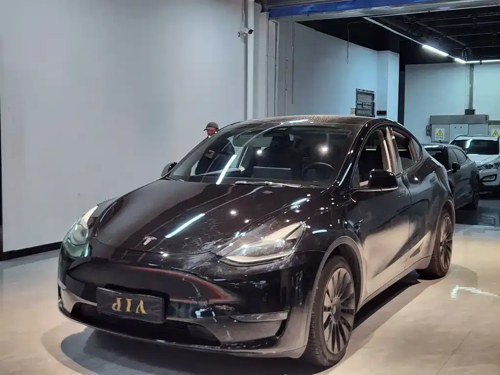 Tesla Model Y — фото 1
