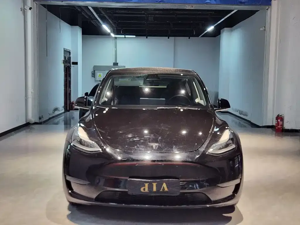 Tesla Model Y — фото 3