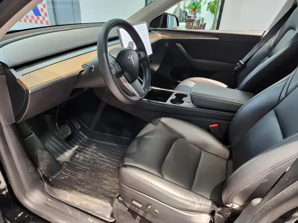 Tesla Model Y — фото 10