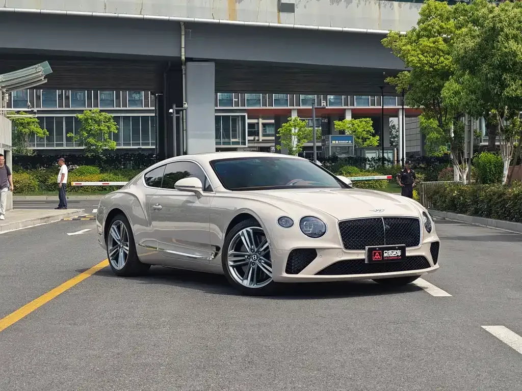 Bentley Continental 2024 из CN, фото 10