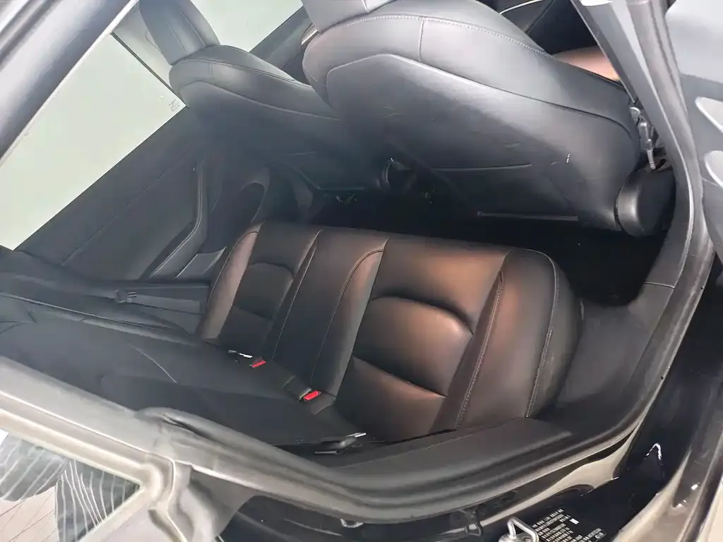 Tesla Model 3 2023 из CN, фото 4