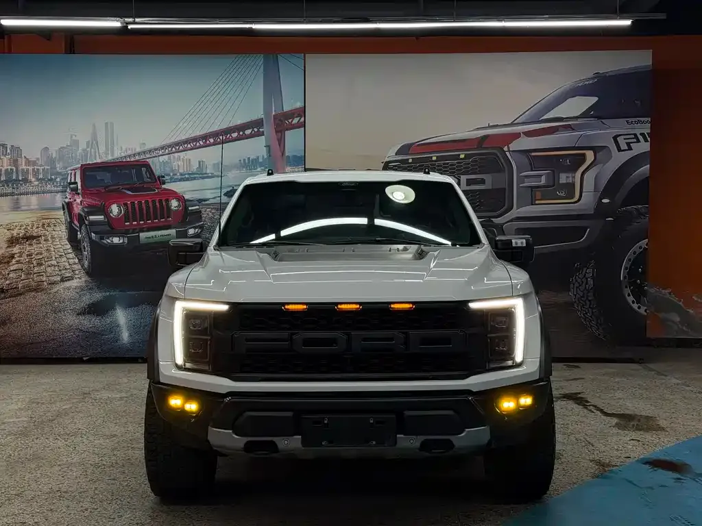 Ford F-150 Raptor 2024 из CN, фото 8