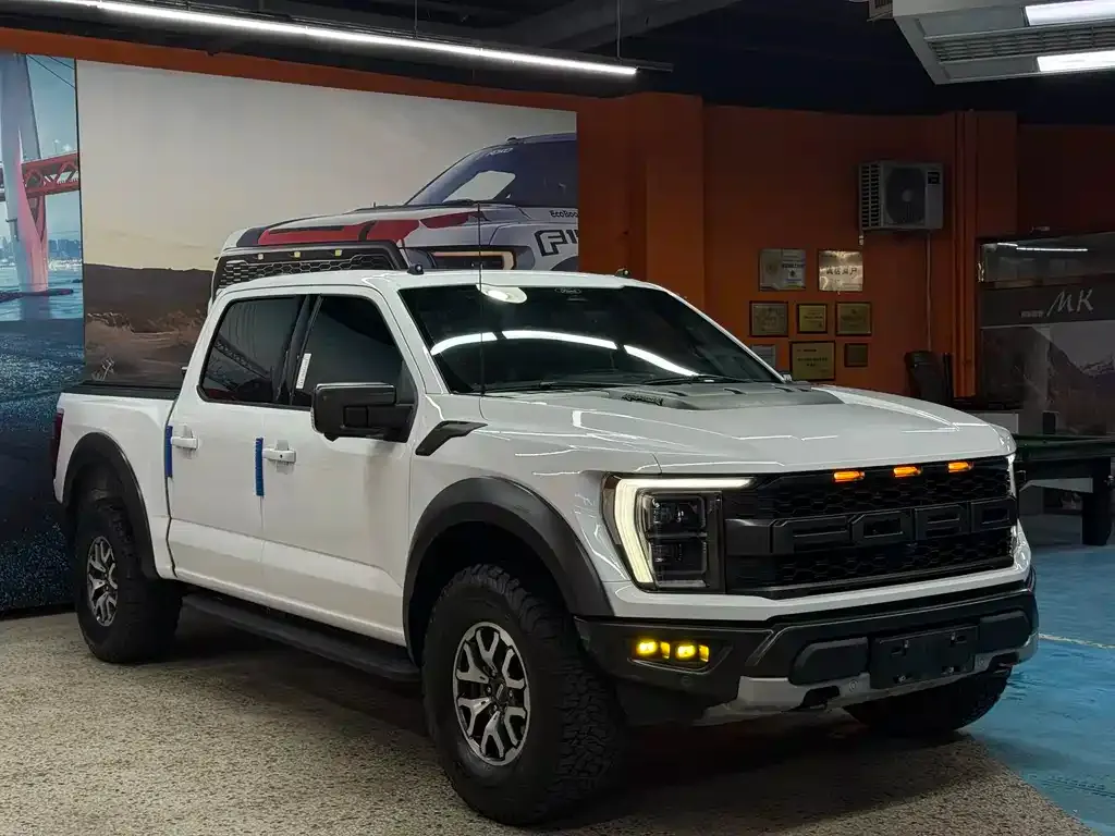 Ford F-150 Raptor 2024 из CN, фото 5