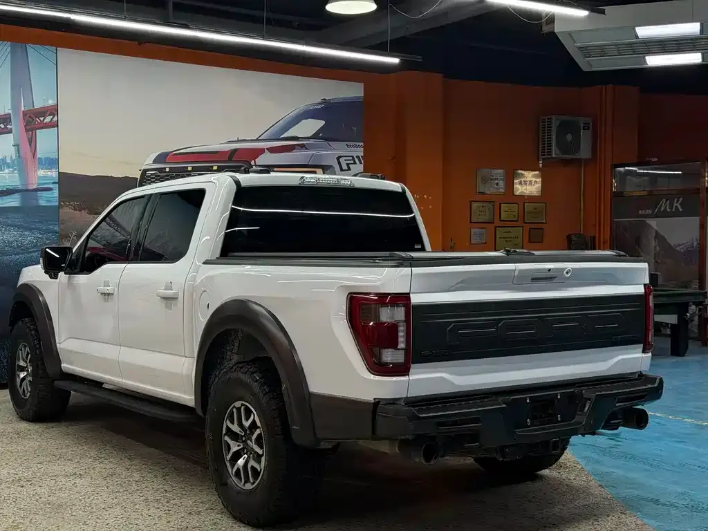 Ford F-150 Raptor 2024 из CN, фото 9