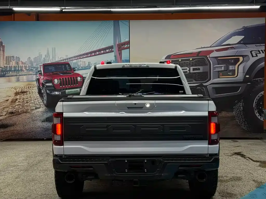Ford F-150 Raptor 2024 из CN, фото 10