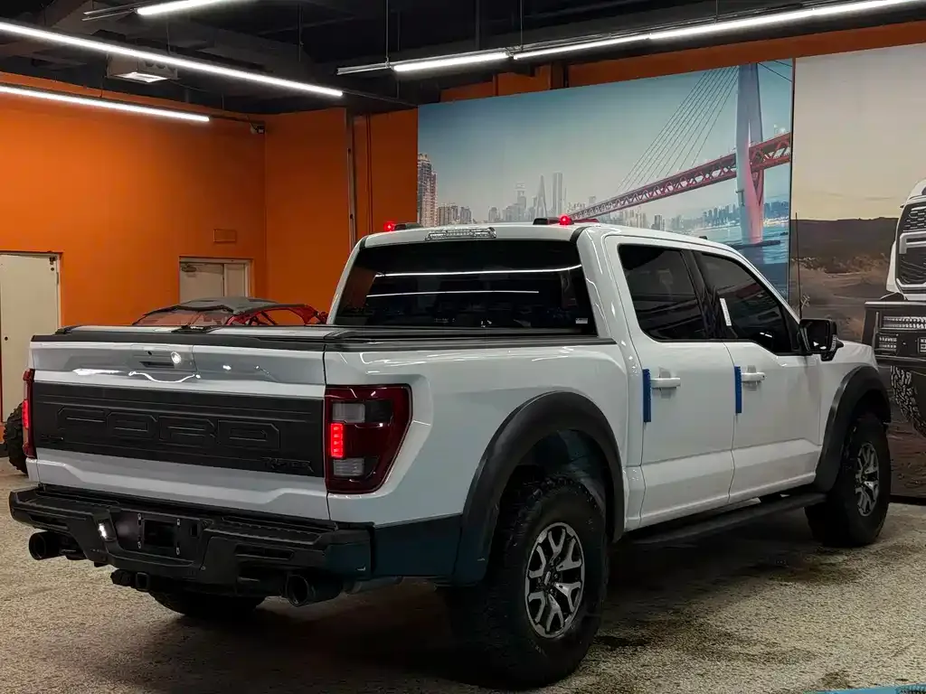 Ford F-150 Raptor 2024 из CN, фото 6