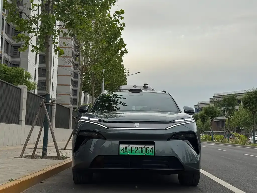 BYD Tang L 2025 из CN, фото 2