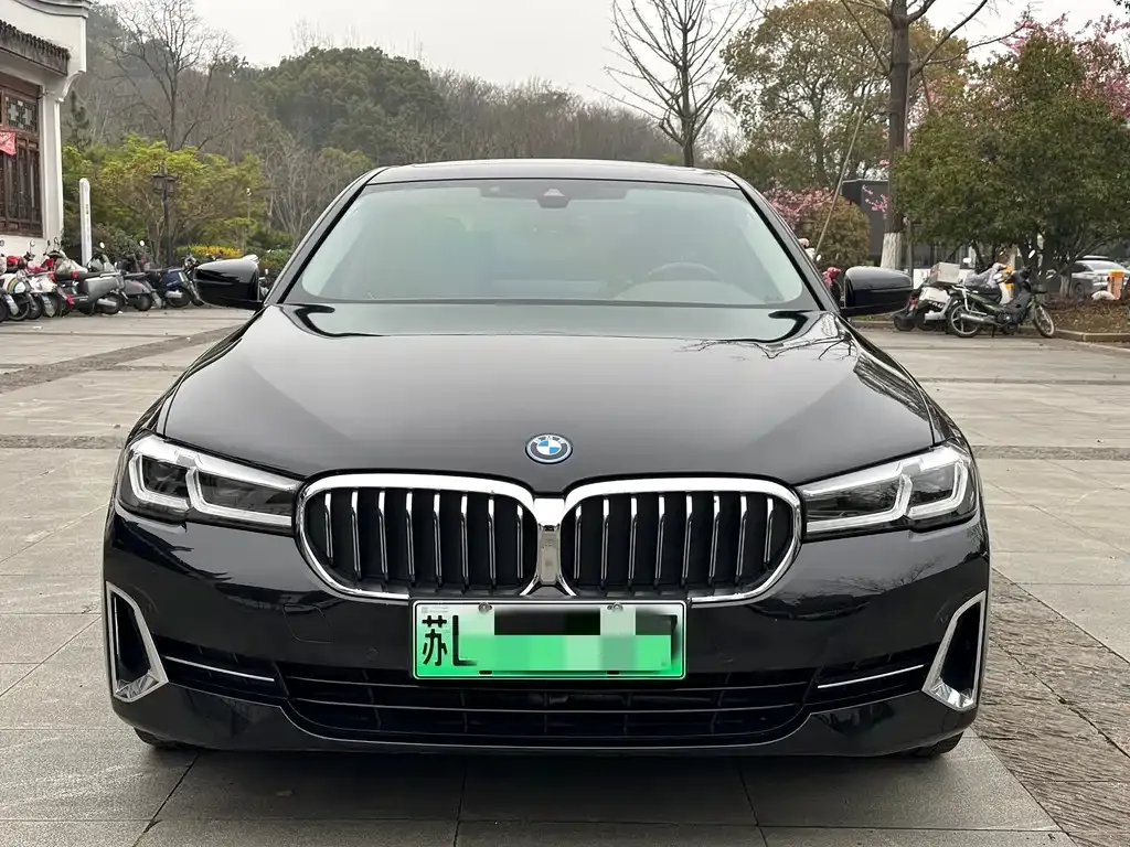 BMW 5 Series New Energy 2022 из CN, фото 9