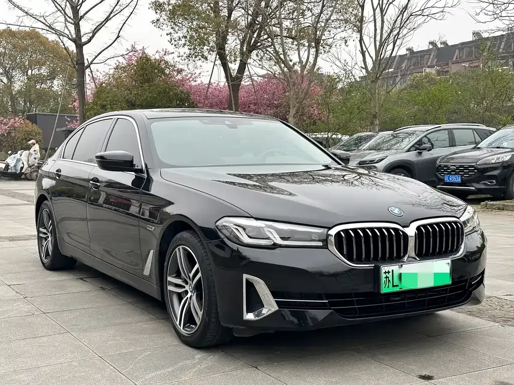 BMW 5 Series New Energy 2022 из CN, фото 8