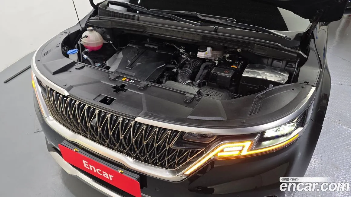 Kia Carnival — фото 10