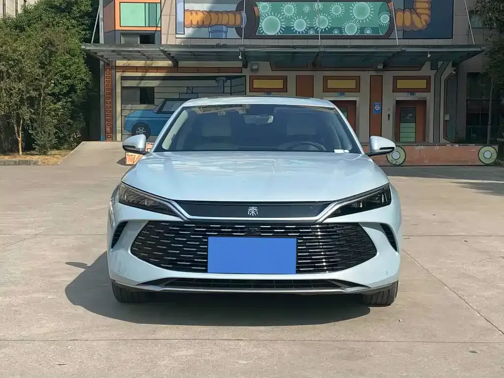 BYD Qin L 2024 из CN, фото 9