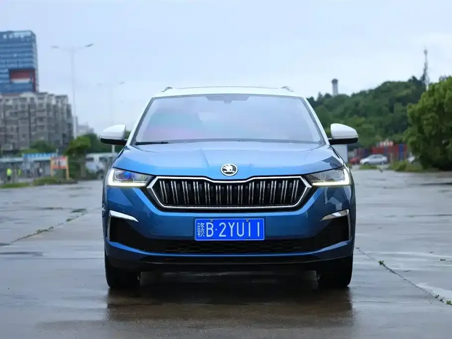 Skoda Kamiq 2023 из CN, фото 2