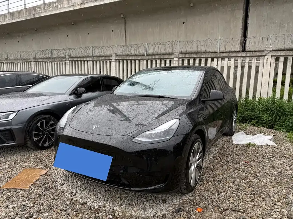 Tesla Model Y — фото 1