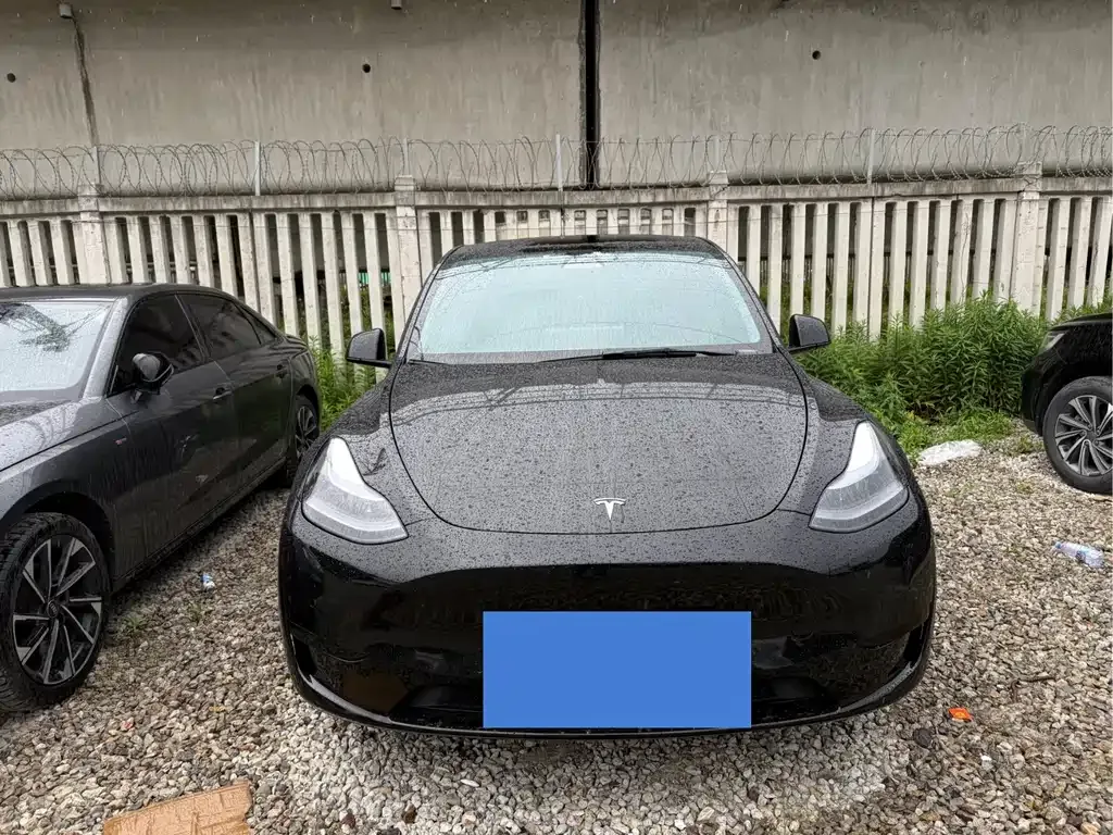 Tesla Model Y — фото 10