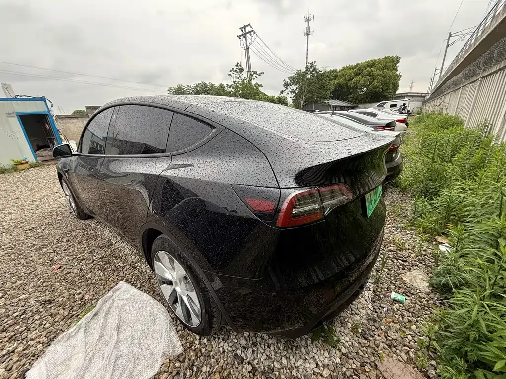 Tesla Model Y — фото 5