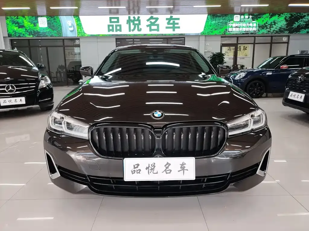 BMW 5 Series 2021 из CN, фото 8