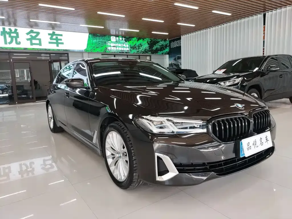 BMW 5 Series 2021 из CN, фото 3