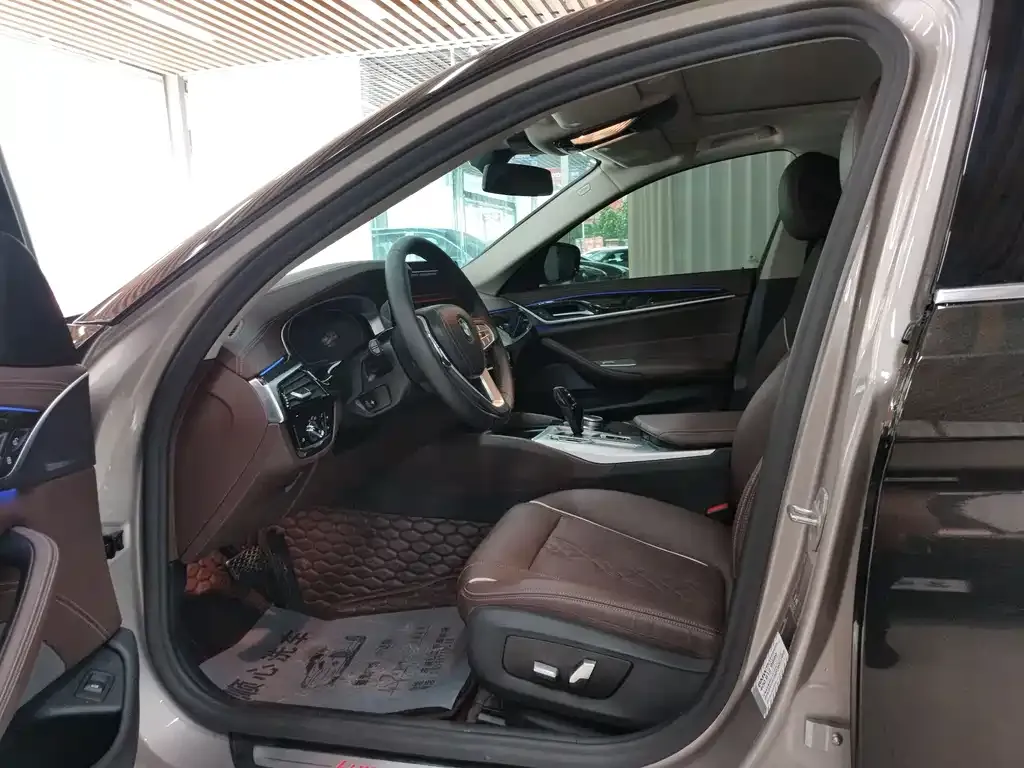 BMW 5 Series 2021 из CN, фото 4